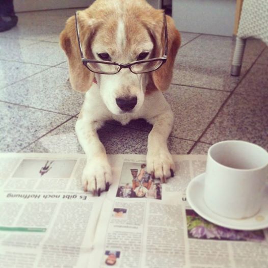 Fanny beim Zeitungslesen Foto